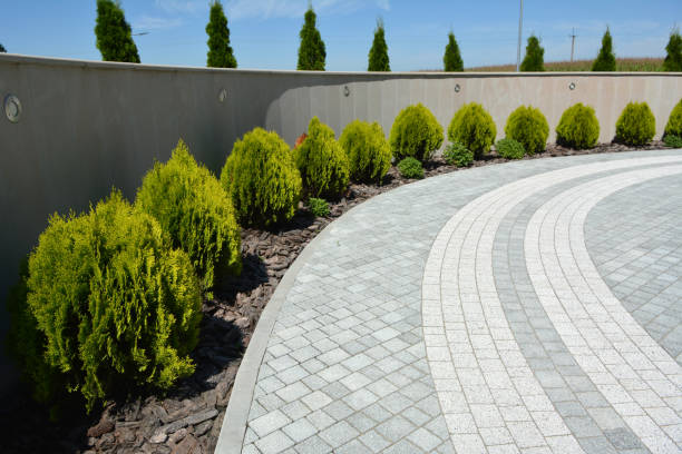 Best Local Driveway Pavers  in Deming, NM